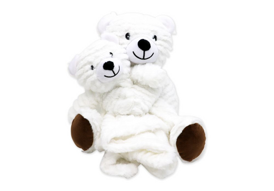 Personalized Teddy Bear with Lovey Set