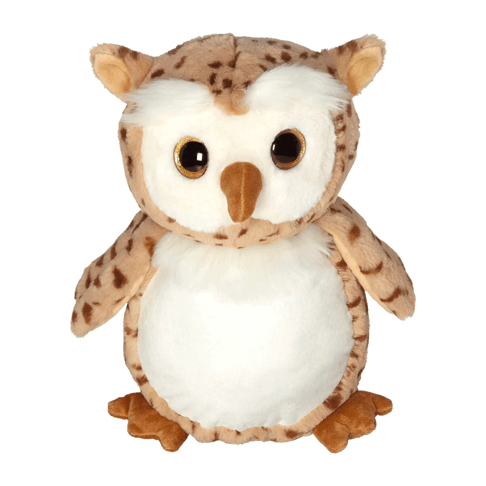 Personalized Owl Grad Buddy image 1