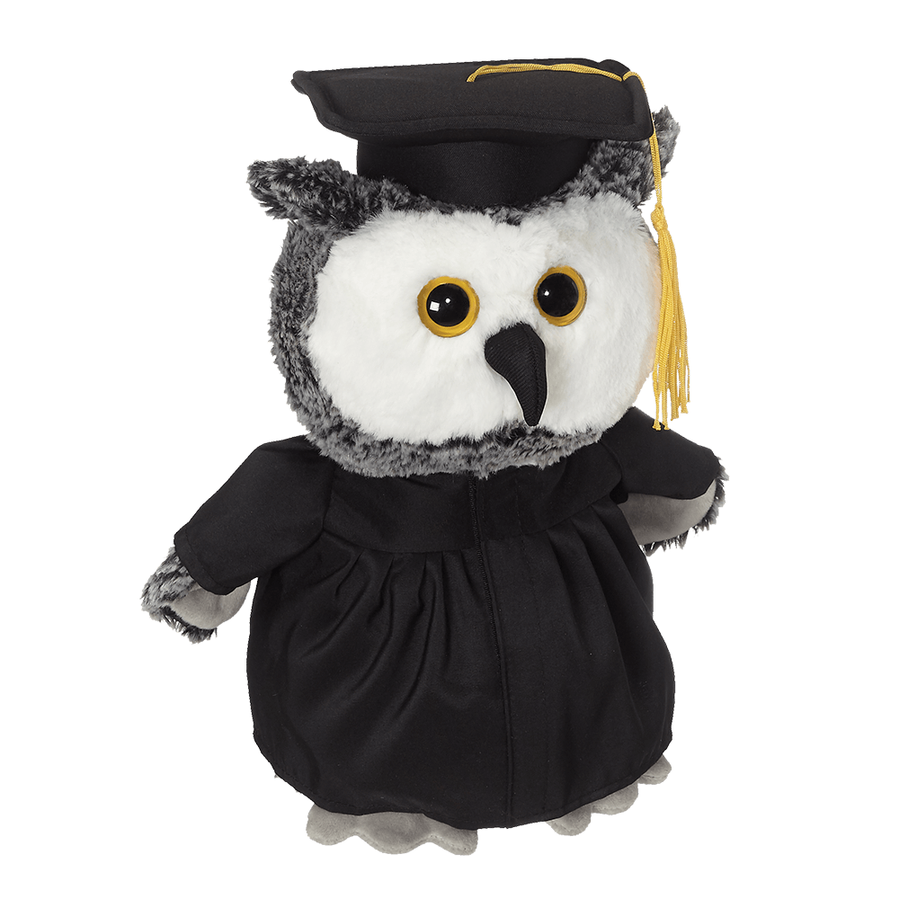 Personalized Owl Grad image 0