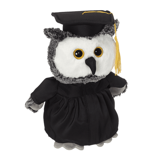 Personalized Owl Grad image 0